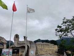 -青岛森林野生动物世界
