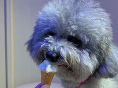 -CREAM STORY意大利手工冰淇淋&甜品(万象前海店)