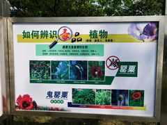 -国家植物园南园