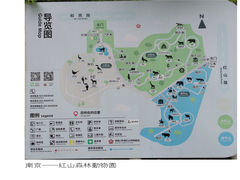 -红山森林动物园