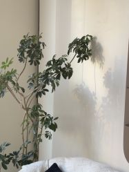 -WENDY·温迪皮肤管理