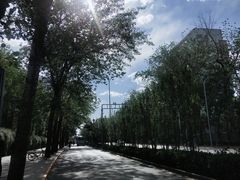 -簋街仔仔小龙虾(总店)
