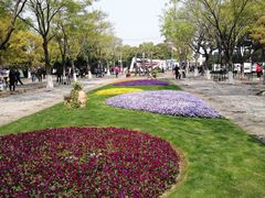 -圩墩遗址公园