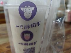 -一只酸奶牛(捞沙巷店)