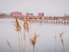 -天津东丽湖风景区