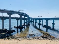 -星海湾跨海大桥