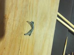 串来串去串吧(中关村店)-串来串去(中关村店)