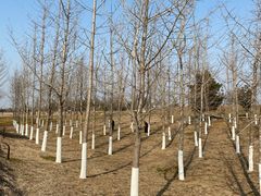 -汉长安城未央宫国家考古遗址公园