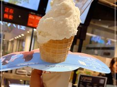 -野人先生现做冰淇淋(西安赛格店)