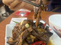 -鸿毛饺子(紫竹桥店)