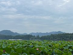 -印象西湖·最忆是杭州实景演出