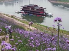 -石井坡(地铁站)