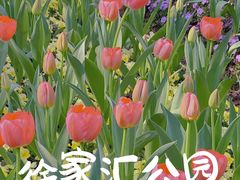 -徐家汇公园