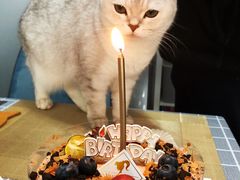 -逸绮瑶澜Miss Mousse Cake蛋糕(三里屯SOHO店)