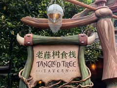 -Tangled Tree Tavern 老藤树食栈