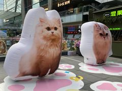 -福田卓悦INTOWN购物中心