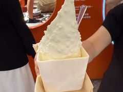 -野人先生现做冰淇淋(北京王府井东方新天地店)