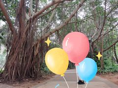 -白沙门生态公园