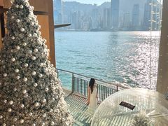 -海港城
