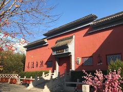 景点-青岛方特梦幻王国