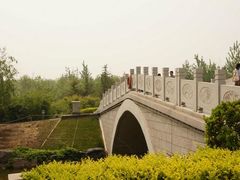 -大兴滨河森林公园