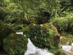 -西岭雪山大飞水景区