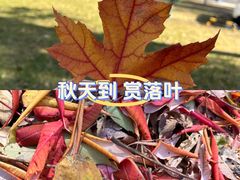 -哈尔滨文化公园