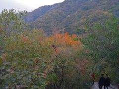 -香山公园-东宫门售票处