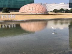 -金陵图书馆