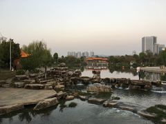 -洛龙公园