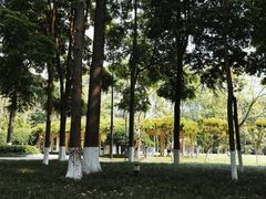 -温江公园