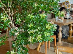 -MIMO CAFE(沙头角店)