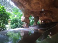 -韶关经律论国际酒店温泉