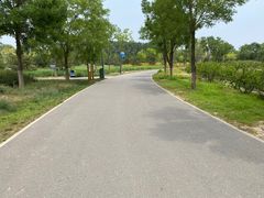 -东郊湿地公园