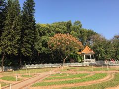 -晓港公园
