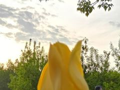 -长春公园(普阳街道)