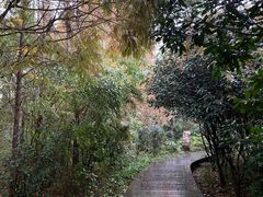 -洛阳市隋唐城遗址植物园