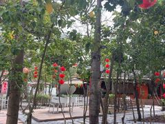 -陶缘一号·四季缘·老字号顺德菜·户外婚礼家宴(西滘店)