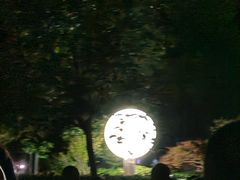 -雁荡山风景名胜区-小龙湫