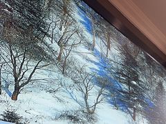 -山河屯铁锅炖(哈西站店)