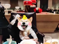 -无锡君来洲际酒店