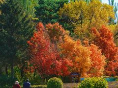 -长春市南湖公园