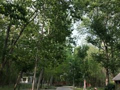 -廊坊市自然公园