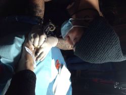 幸运7刺青纹身工作室-雕哥的纹身店A3 TATTOO&纹身培训