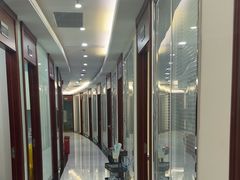 -泰康拜博口腔(世博园乐尔店)