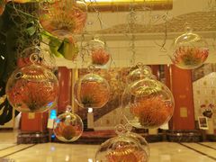 -北京中国大饭店