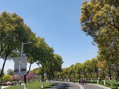 -羊山湖公园