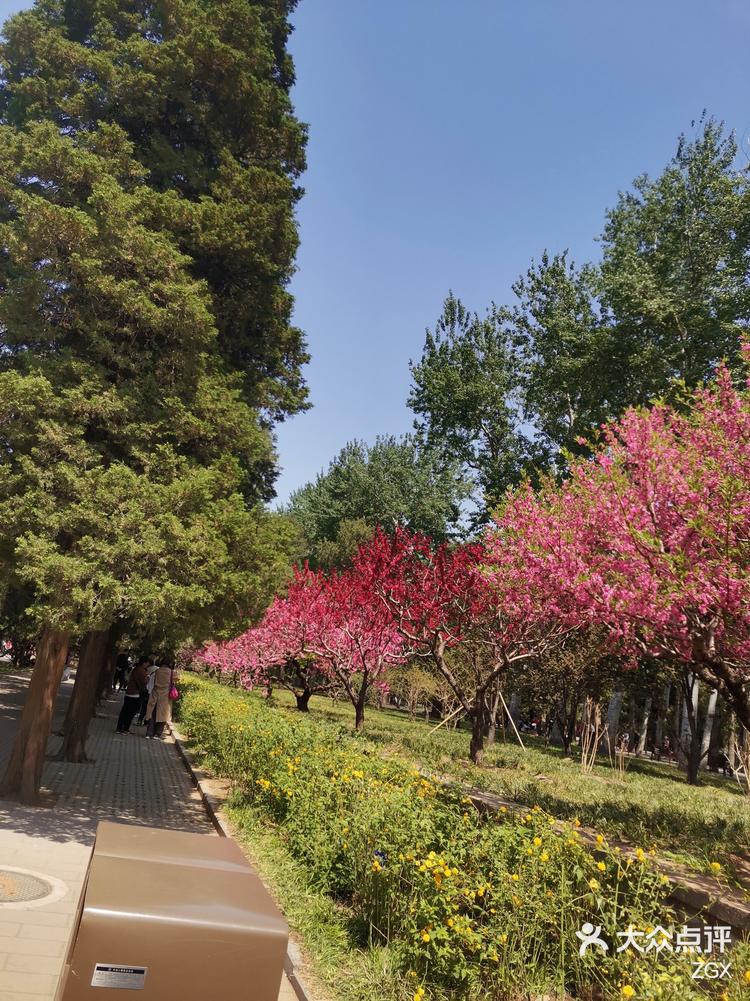 想看花就来天坛公园百花园吧