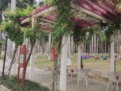 -南宁花花大世界景区