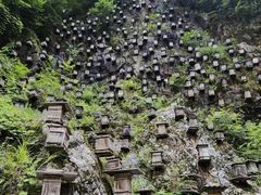-神农架景区